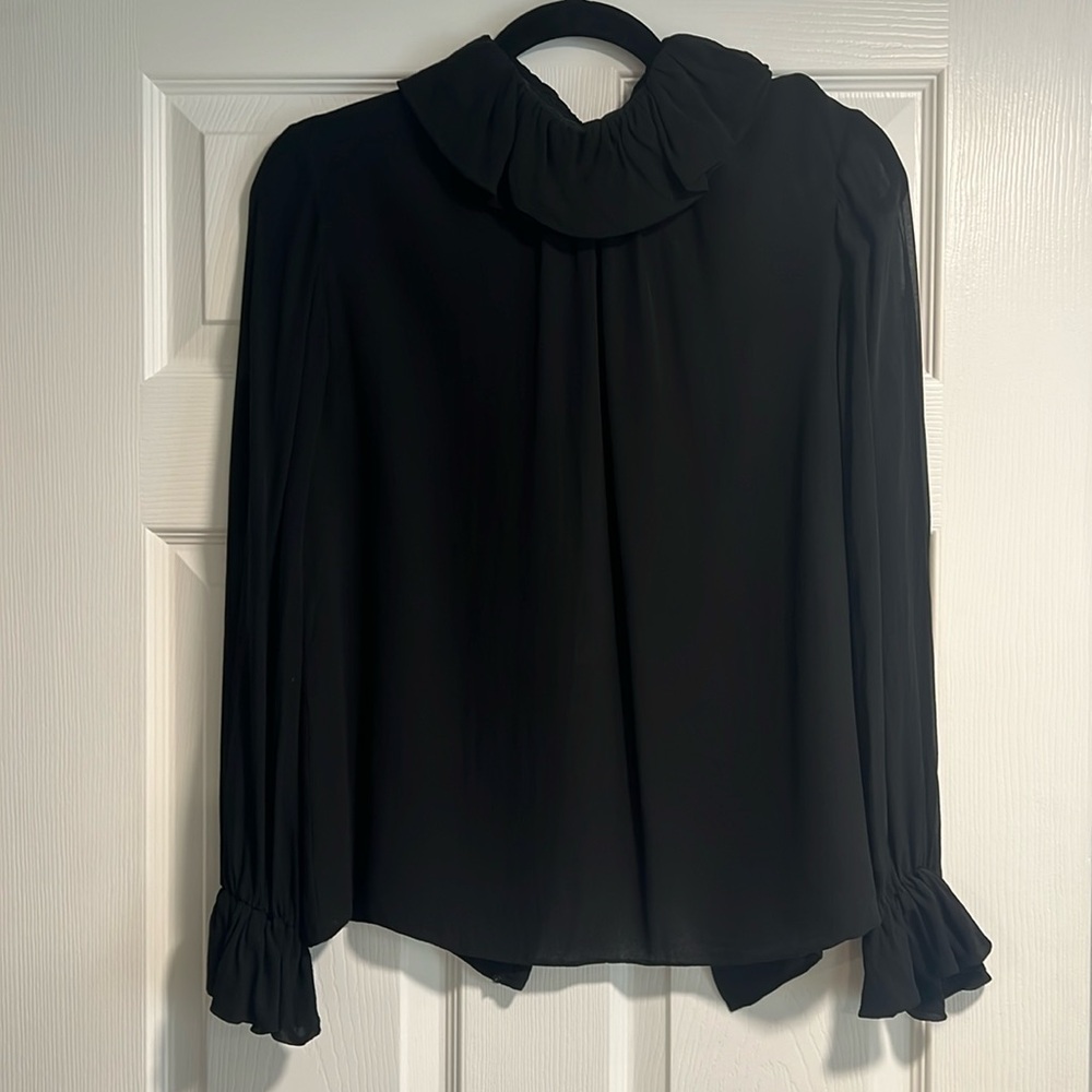 Vintage Sheer Blouse